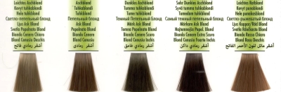 radico organic: Color Pflanzenhaarfarbe dark ash blond, 100 g