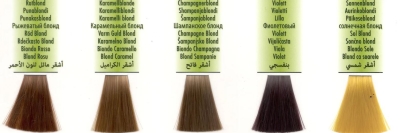 radico organic: Color Pflanzenhaarfarbe violett, 100 g